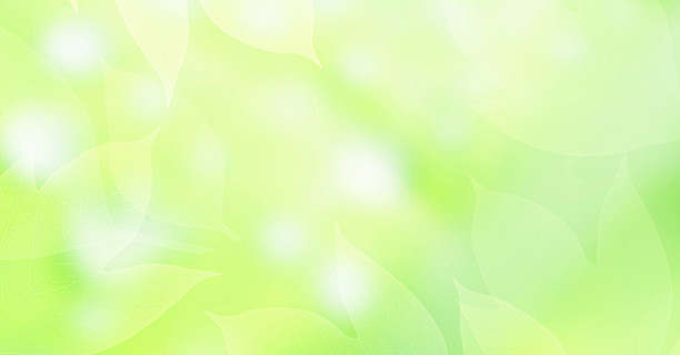 Environmental Regulations